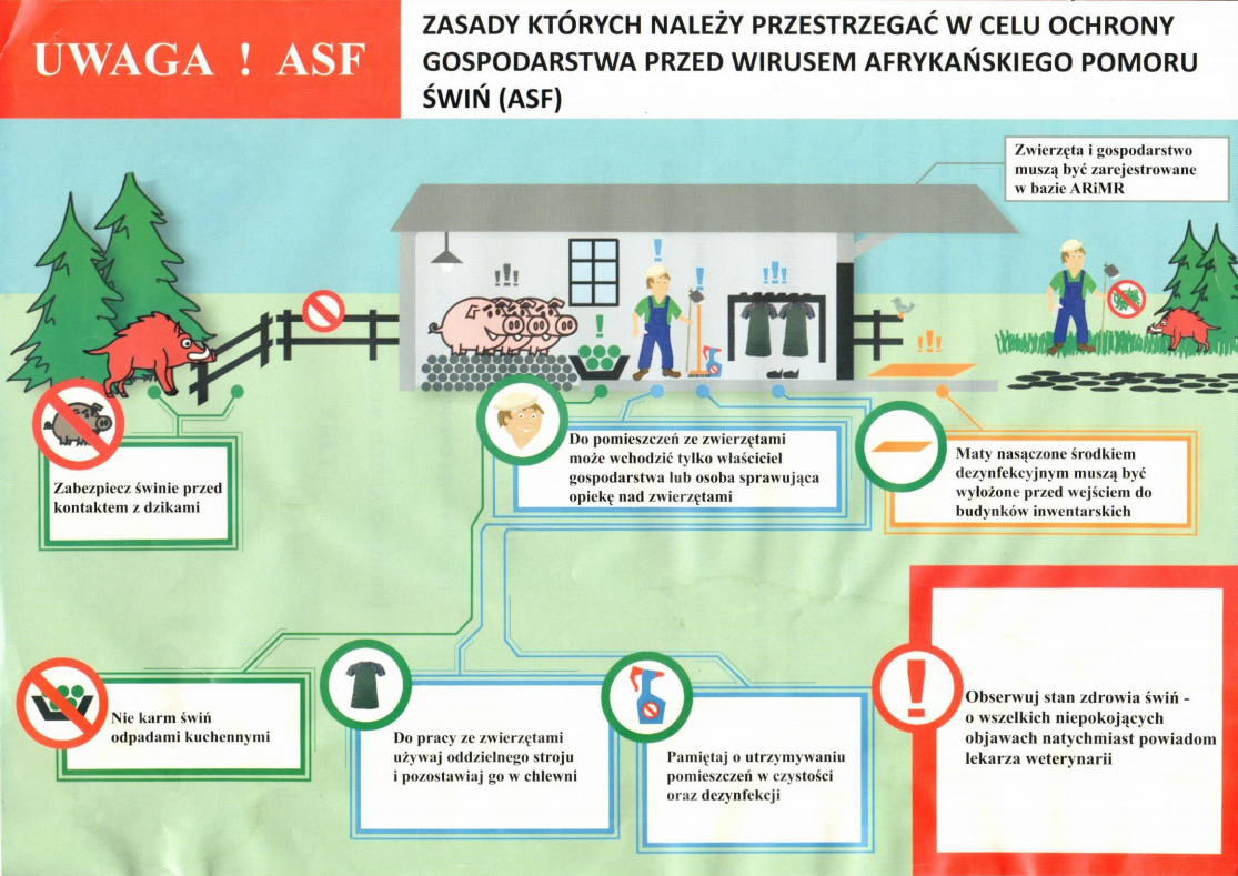 Plakat informujący o zasadach których należy przestrzegać w celu ochrony gospodarstw przed ASF