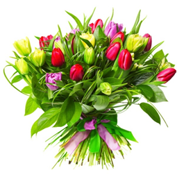 bukiet tulipanów kolorowych przewiązanych różową wstążką 